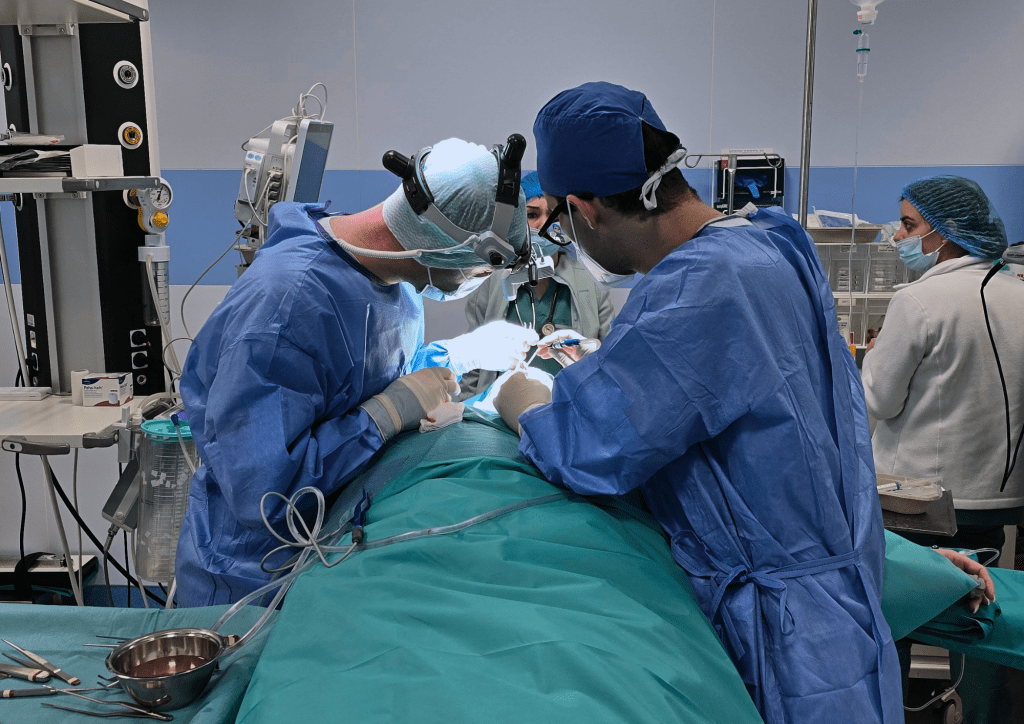 Rinoplastia structurală